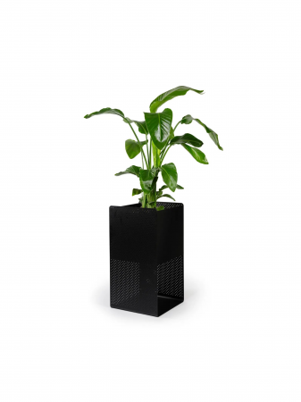 Vulkans - kvetinac-1776667472-small.png